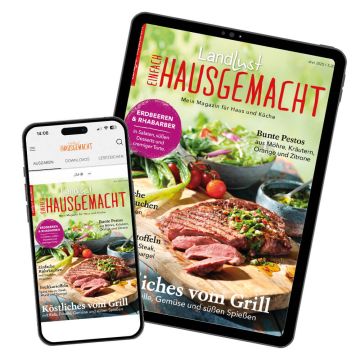 Abbildung von Smartphone und Tablet mit dem Cover von Einfach Hausgemacht auf dem Display